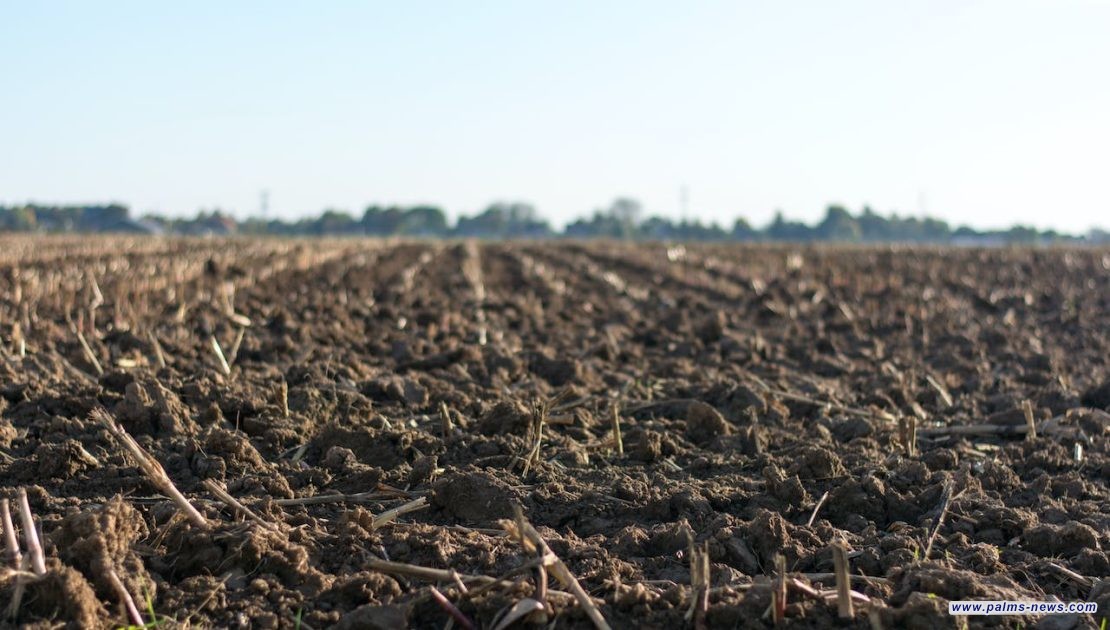 العراق يشكل خلية أزمة لمواجهة تداعيات الحرب على القطاع الزراعي
